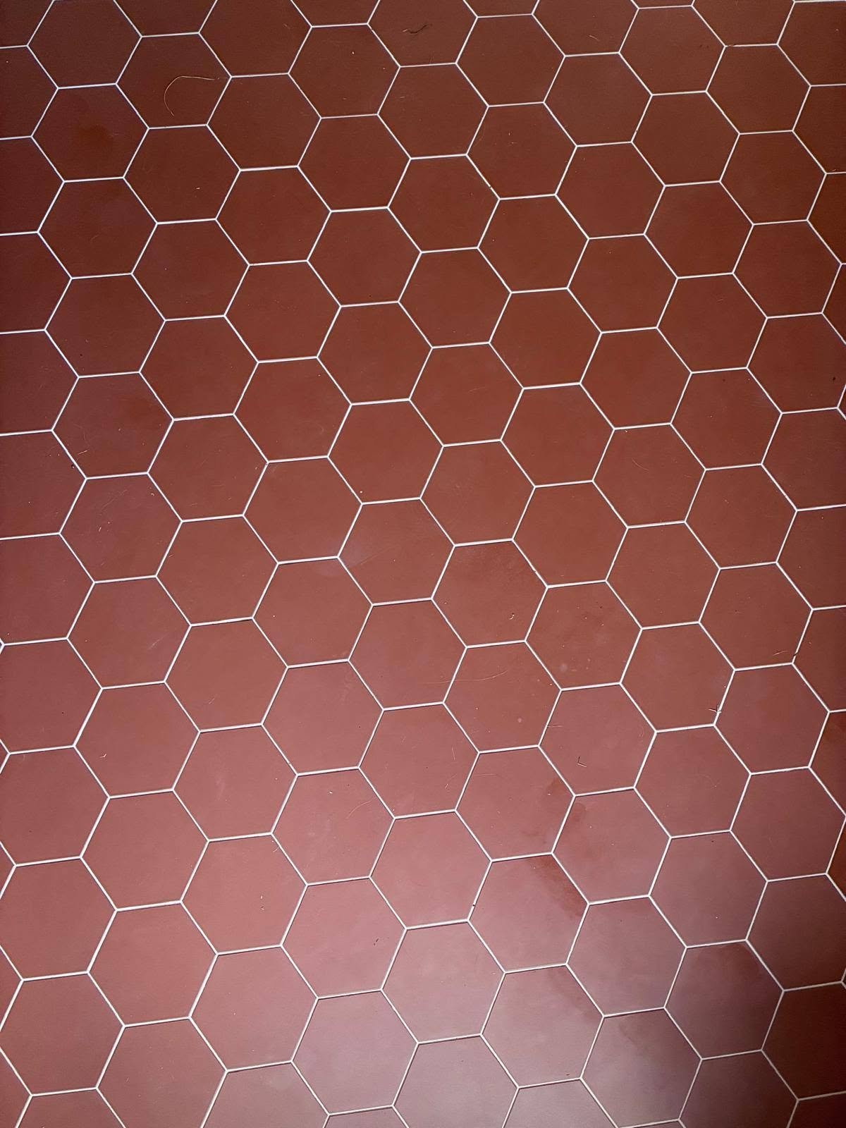 741395874_1358653566371835_7912934797986781947_n.jpg